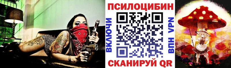 Галлюциногенные грибы Magic Shrooms  кракен   Сочи  дарнет шоп 